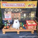 애견스토리 이미지