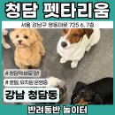 펫타리움 청담점 이미지