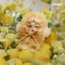 빛 시리즈 이미지