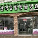 관악동물종합병원 이미지