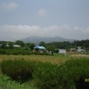 도내1리 이미지