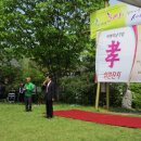 (주)그린나래 Daum카페