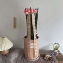 벨르플레르 이미지