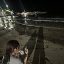 해나루펜션 | 포항 여행 - 해나루 펜션 후기