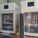 여왕벌PC 이미지