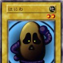 평화대공원 이미지