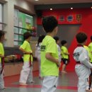 최강태권도 이미지