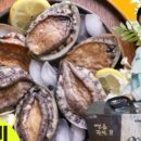 완도전복사료 이미지