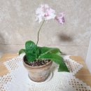 BS소프트 이미지