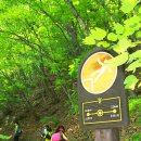 대광천(1) 이미지