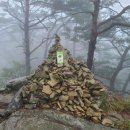 대성우체국 앞 이미지