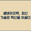 셀루 이미지