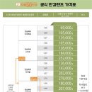 으뜸50안경 경주중앙로점 이미지