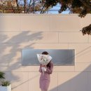 더즈플라워