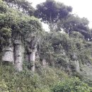 강정천(해군기지) 이미지