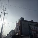 (주)로사코리아 | [원주 맛집] 까치둥지 알탕 오픈런 후기 : 새로워진 모습과 변함없는 인생 알탕의 맛