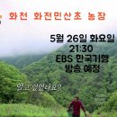 EBS 한국기행 본방 사수 이미지