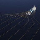 대양자원 이미지