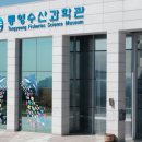 통영미래수산