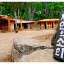 숲 펜션&캠핌장 이미지