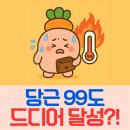 99 | 당근 99도 만들기 달성 후기