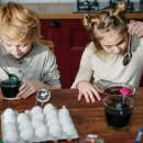 발효식품만들기 이미지