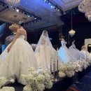 청객 | 호텔 인터불고 웨딩 쇼케이스 후기 - 대구 첫 쇼케이스 진행 했답니다.