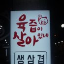 양학천로 티스토리