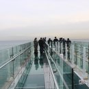 오륙도 스카이워크 이미지