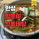원곡식당 | 안성 원곡 맛집 양푼이 신동태탕 후기