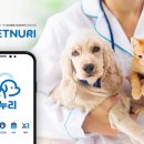 반려동물 토탈 케어 이미지