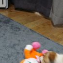 더조은축산 이미지