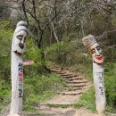 아라메길 (도비마루길) 이미지