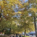 비엑스티그룹코리아 | [대전마라톤] 2025 전마협 대전코리아 마스터즈 최강전 마라톤대회 후기