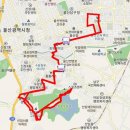 채홍일 카페-울산교통관리센터-버스정보, 노선, 정류장정보 지도 검색(센타)(1), 시민교통 923번, 이미지