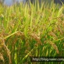 부곡3동 주민센터 이미지