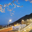 진주 월아산 자연휴양림 이미지