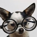 안경클리닉 이미지