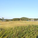 고인돌안내소 이미지