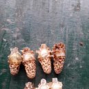 만세동농장 이미지