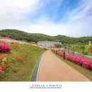 화랑마을-4 이미지