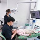 안치과 | 7세 유치 안빠져도 괜찮을까?-치과 다녀온 후기