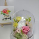 수원-0355 이미지