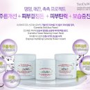카멜리아플라워 네이버블로그