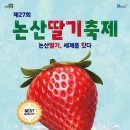 🍓 2025 논산딸기축제: 달콤한 봄날의 향연