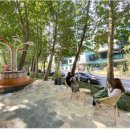 서초구 양재도서관 이미지