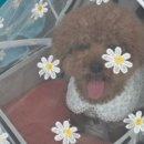 씨엘로호텔(Cielo Hotel) 이미지