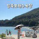 송림 | 여수 방죽포해수욕장 여수갯가길 3코스 송림숲 후기