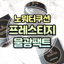 노워터 프레스티지 스킨핏 글로우 쿠션 물광쿠션팩트 추천