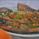 보길도활어회 이미지